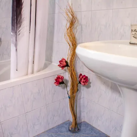 Guest house Adry Rovinj