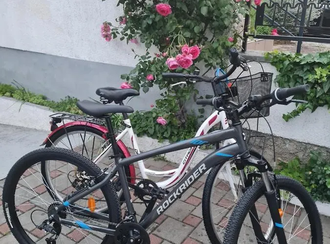 Adry With Balcony, Free Parking & Bikes Gostinjska kuća 4*