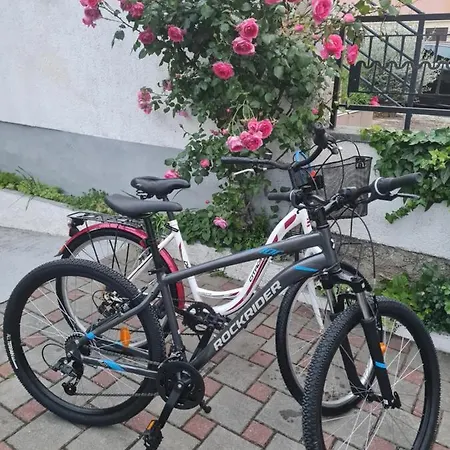 Adry With Balcony, Free Parking & Bikes Gasthuis 4*